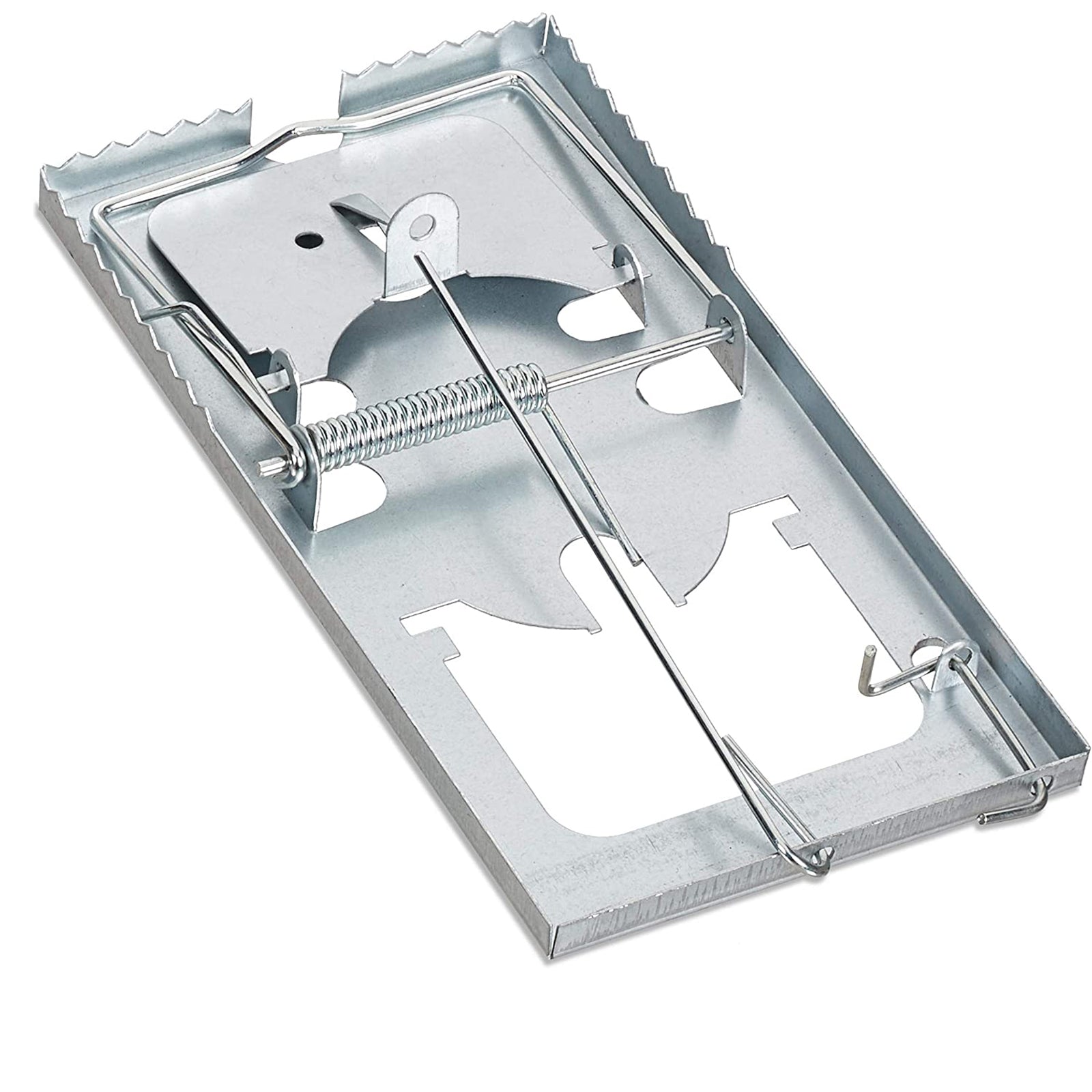 Dove acquistare Prodotti anti-roditori da giardino online?