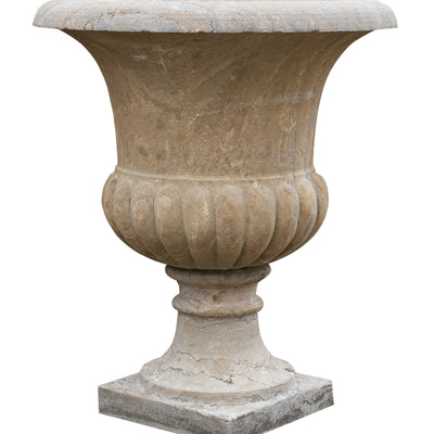 Dove acquistare Portavasi per piante online?