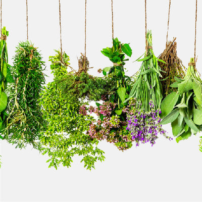 Come scegliere Erbe aromatiche e spezie per la cucina