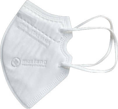 Dove acquistare Mascherine antipolvere pieghevoli online?