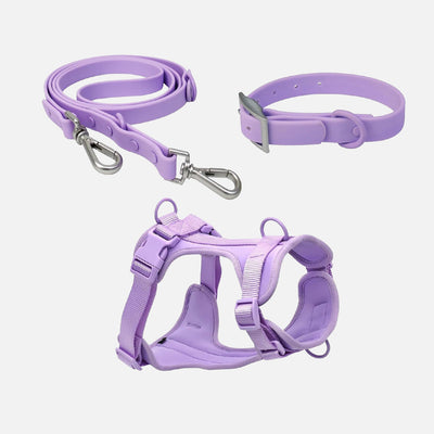 Come scegliere Collari imbracature e guinzagli per cani