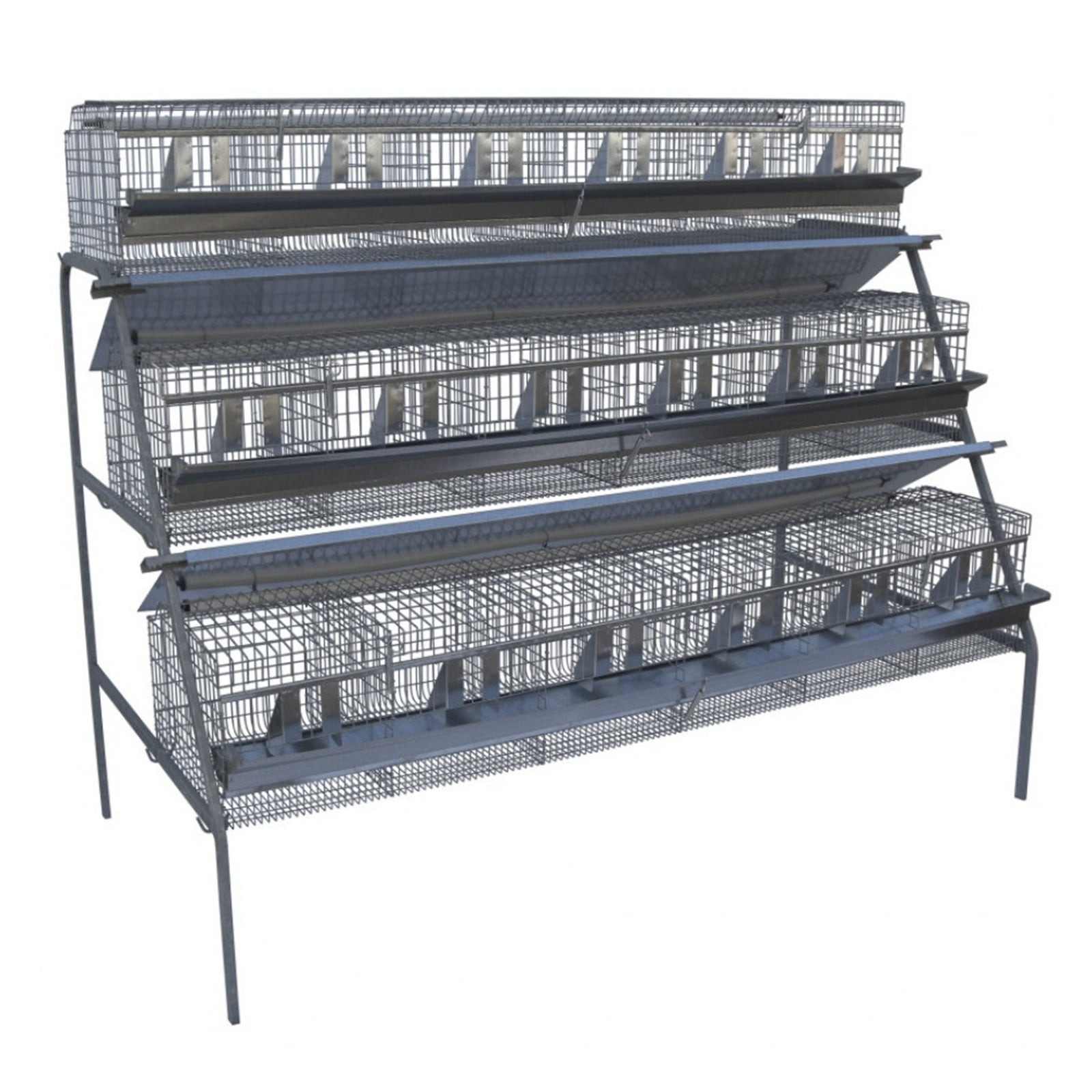 Come scegliere Pollai e gabbie per allevamento di pollame piccioni e selvaggina