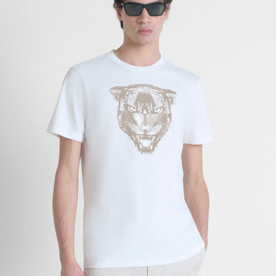 Dove acquistare i prodotti a marchio Antony Morato