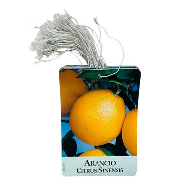 Come scegliere Etichette colorate in cancelleria e prodotti per uffici