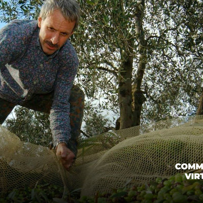 Come distinguere l'olio d'oliva italiano dalle miscele comunitarie