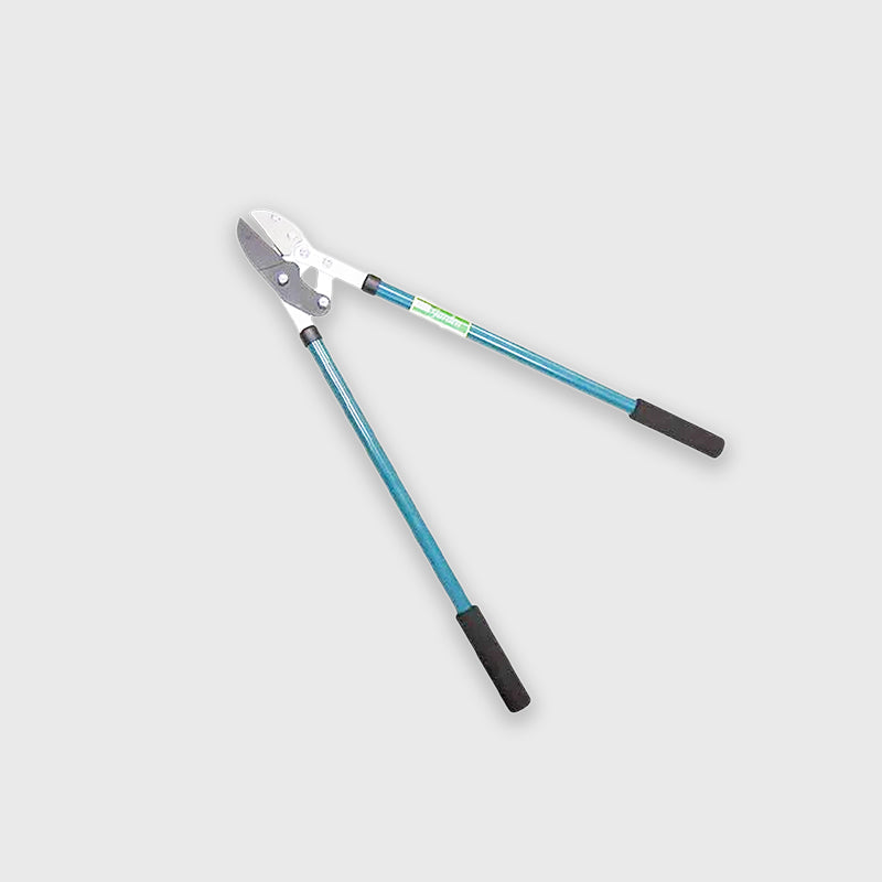 Come scegliere Troncarami da giardinaggio