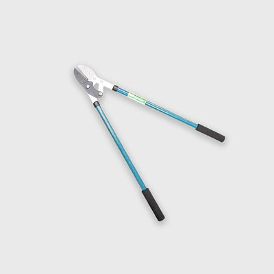 Dove acquistare Troncarami da giardinaggio online?