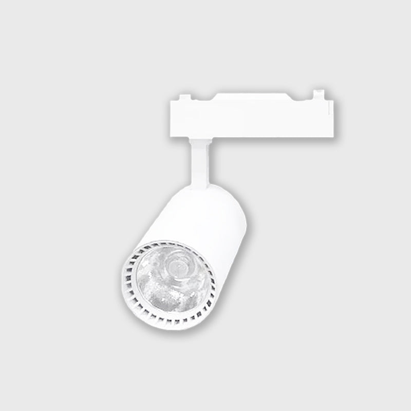 Dove acquistare Faretti da soffitto online?