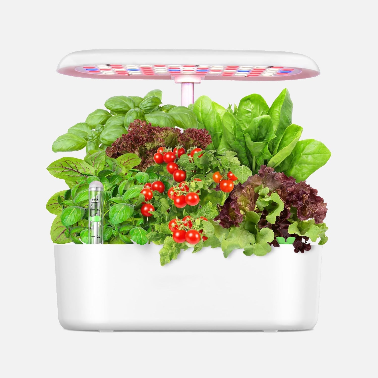 Come scegliere Prodotti per Idroponica da giardino