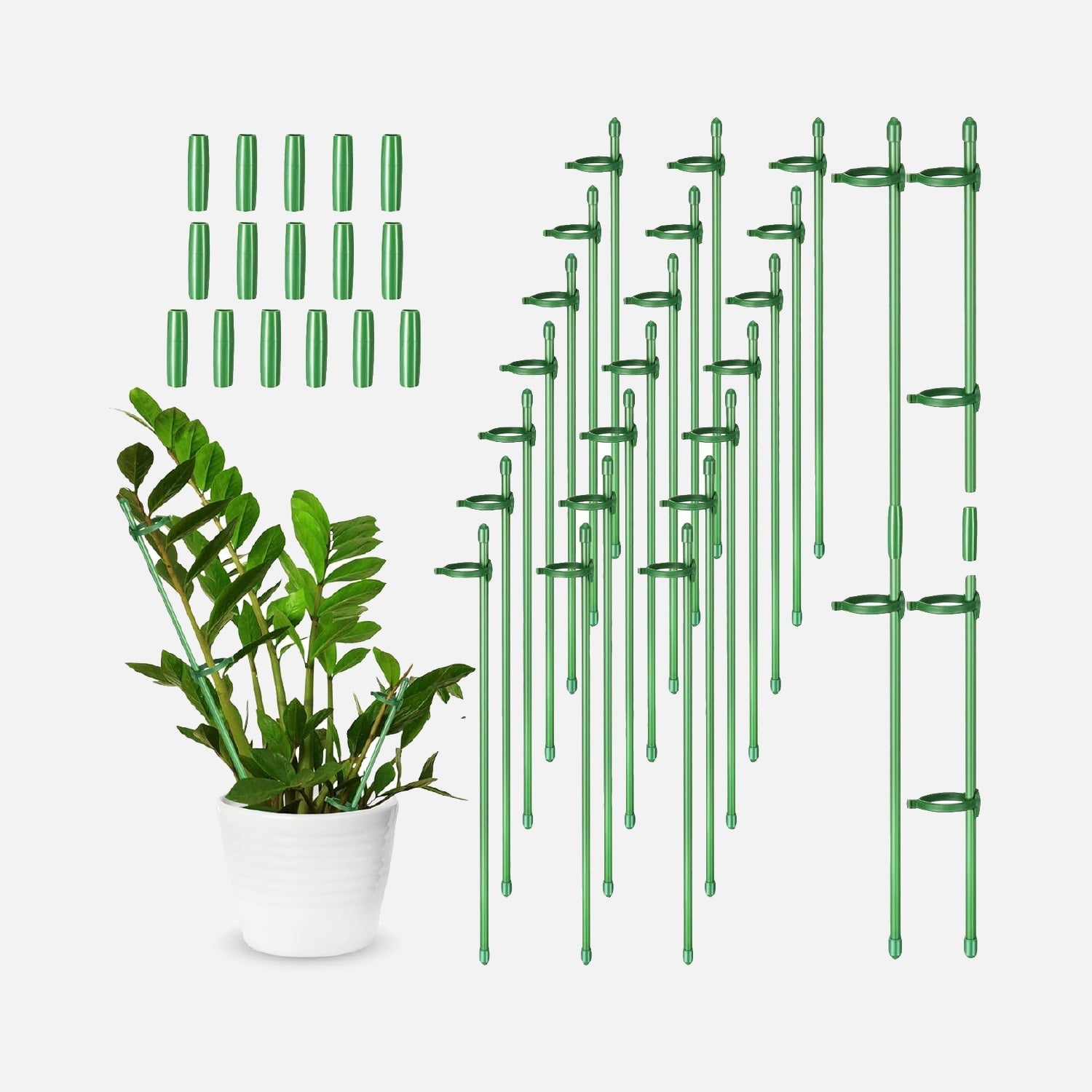 Come scegliere Stecche per piante