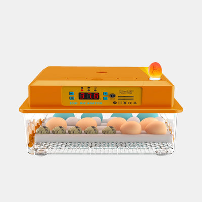 Come scegliere Prodotti per l'allevamento di pollame piccioni e selvaggina