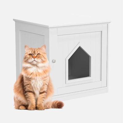 Come scegliere Lettiere e accessori per Gatti