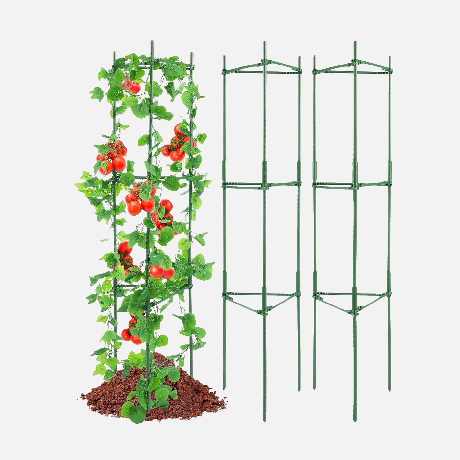 Come scegliere Gabbie e supporti per piante da giardino