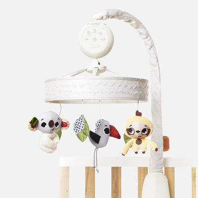 Come scegliere Acchiappasogni e giochi da appendere