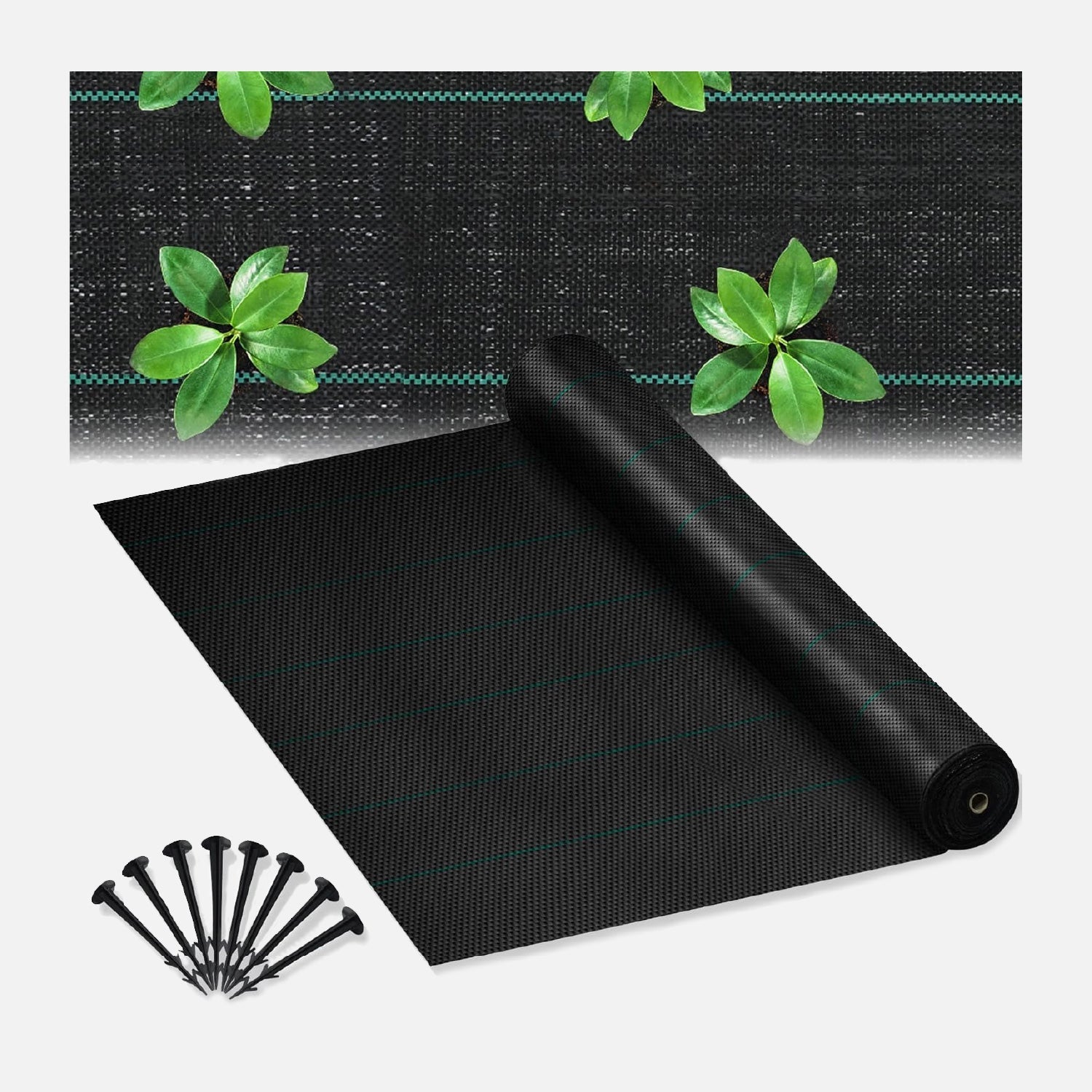 Come scegliere Pacciami da giardino