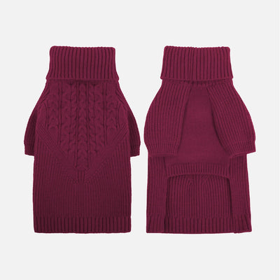 Come scegliere Abbigliamento e accessori per Cani