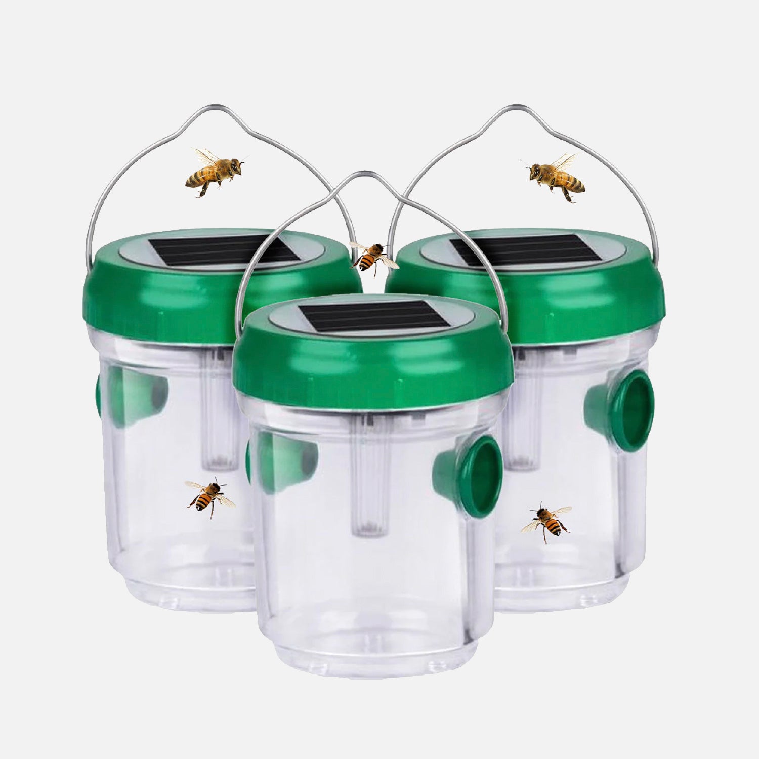 Come scegliere Trappole per insetti da giardino