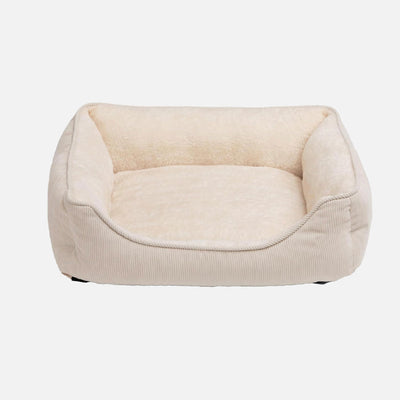 Come scegliere Lettini accessori e mobili per cani