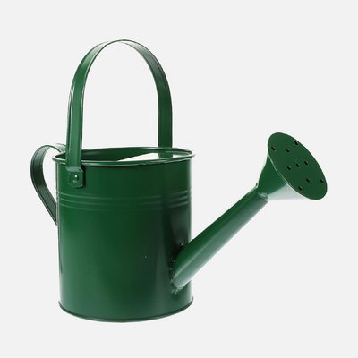 Come scegliere Annaffiatoi