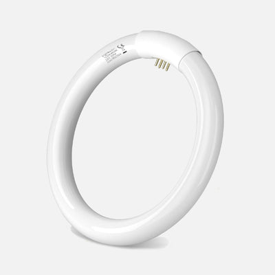 Come scegliere Lampadine fluorescenti e al neon