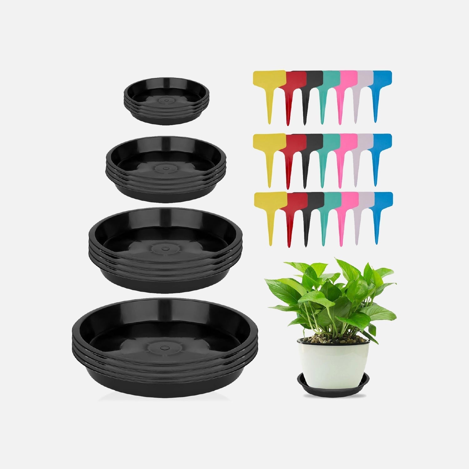 Come scegliere Sottovasi per piante