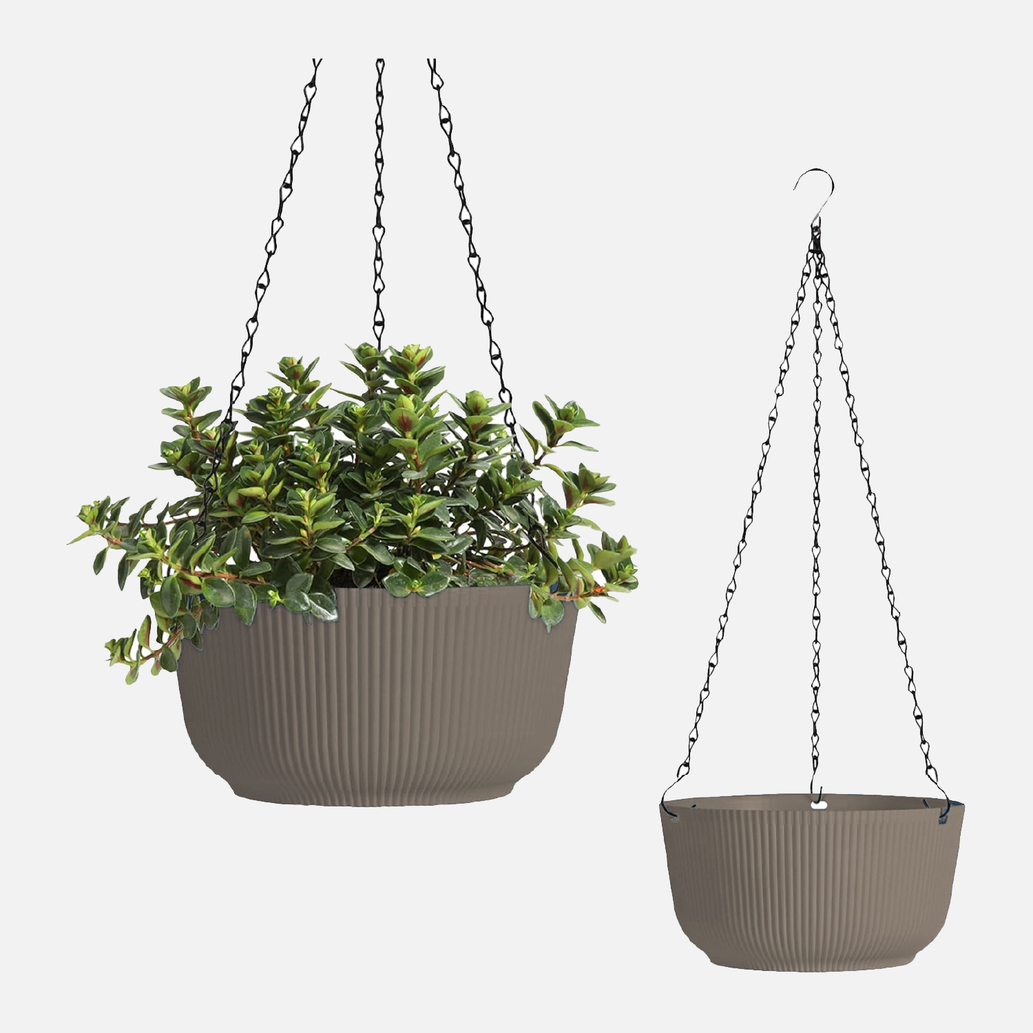 Come scegliere Vasi pensili per Piante