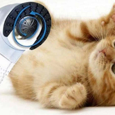 Dove acquistare Guanti e rulli per rimozione peli per Cani online?