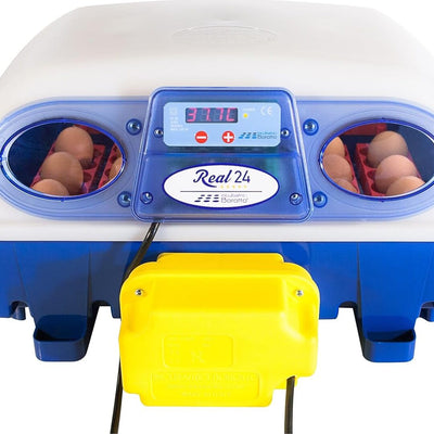 Come scegliere Incubatrici per uova professionali