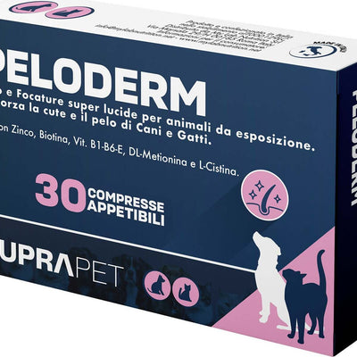 Come scegliere Integratori per la Cura della pelle e del pelo del cane