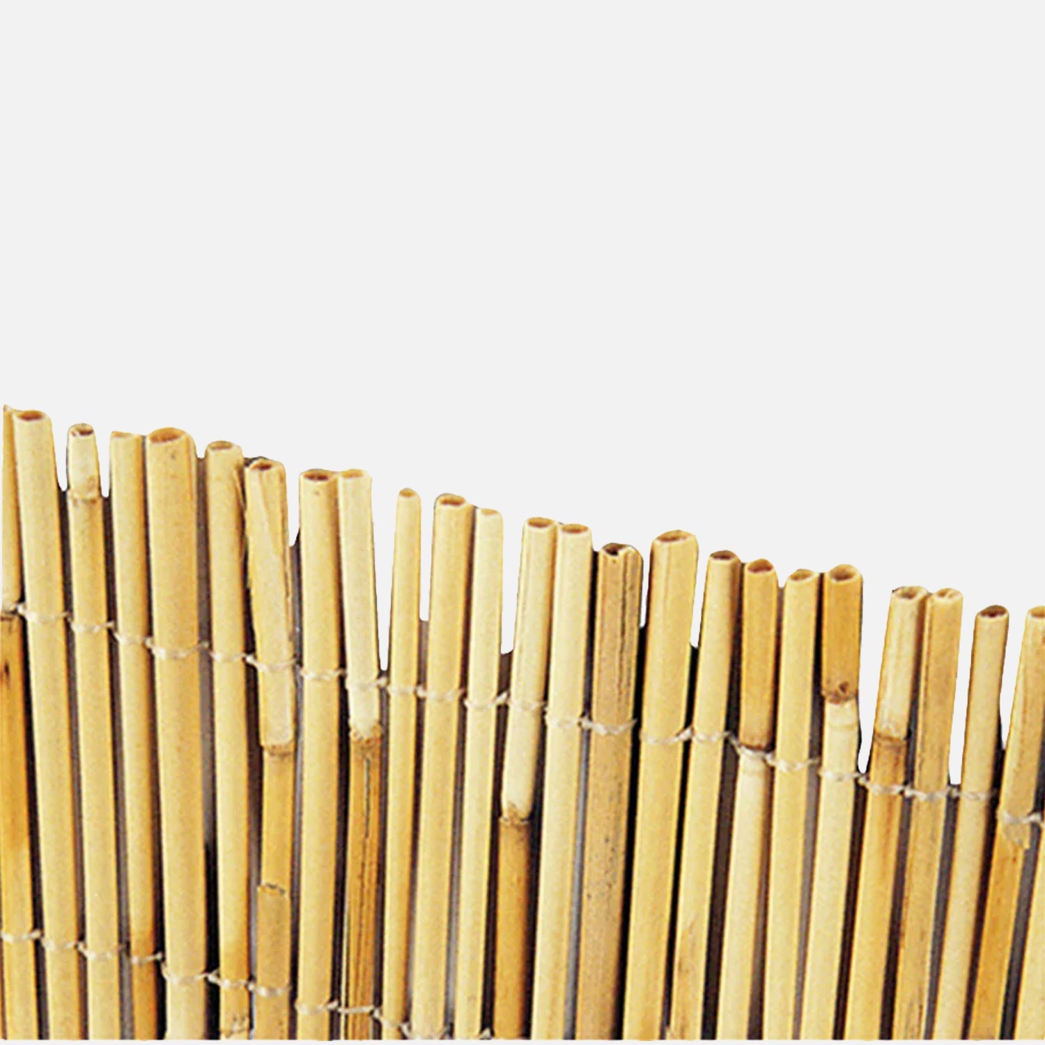 Come scegliere Schermi divisori e protettivi per giardino