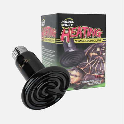 Come scegliere Lampade riscaldanti per rettili e anfibi