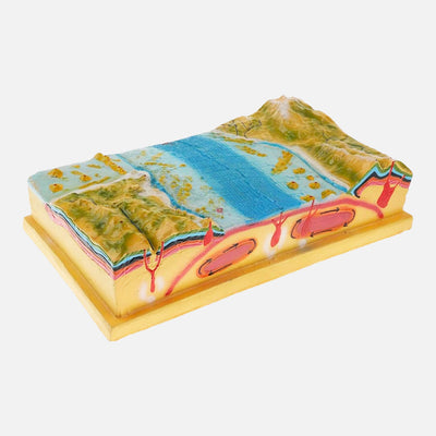 Come scegliere Materiale didattico