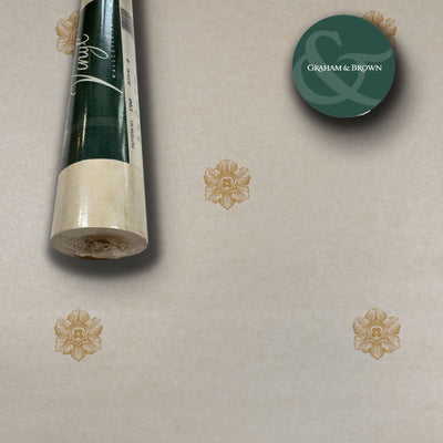 Dove acquistare i prodotti a marchio Graham&brown