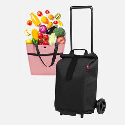 Come scegliere Borse cestini e Trolley per la spesa