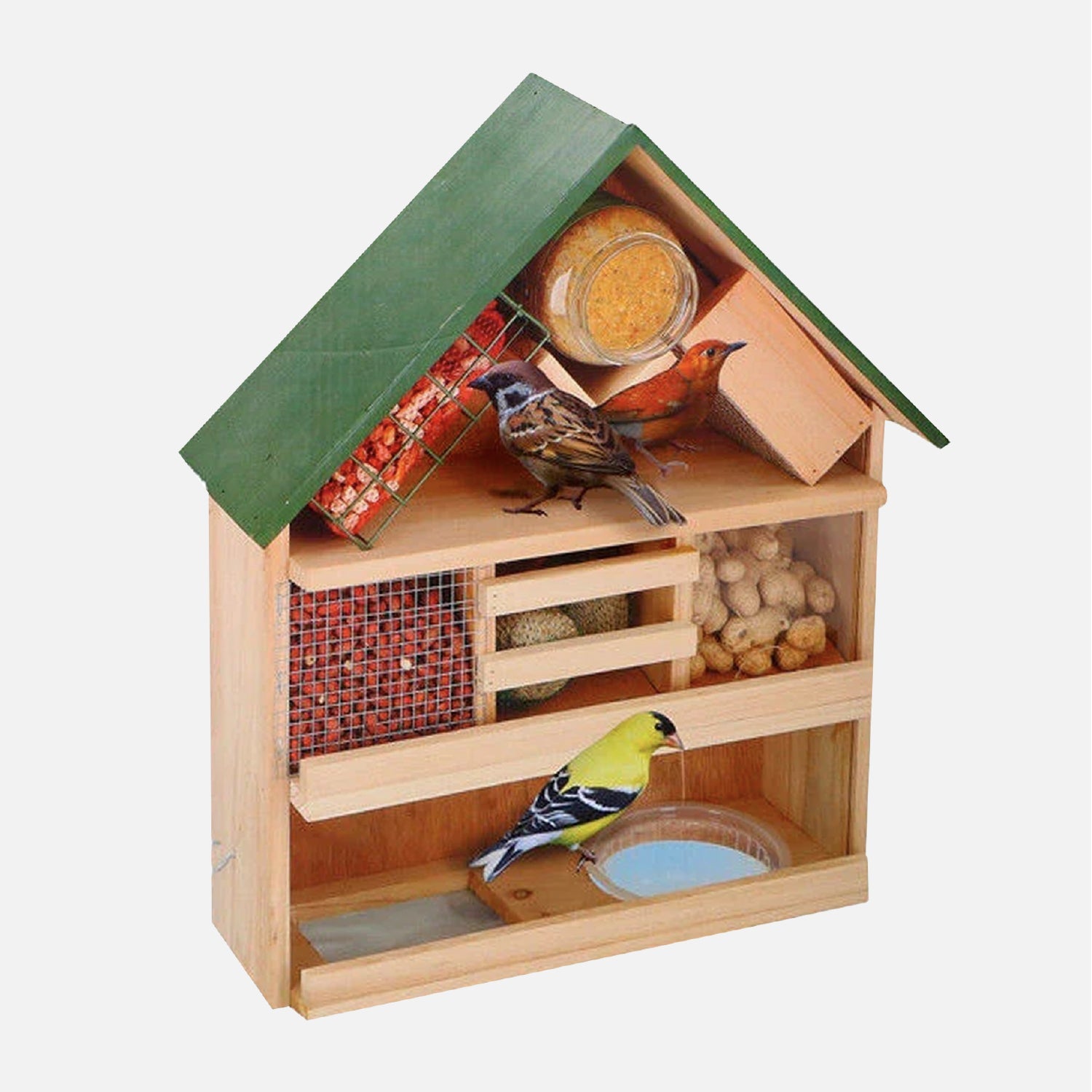 Come scegliere Prodotti per Uccelli da Giardino