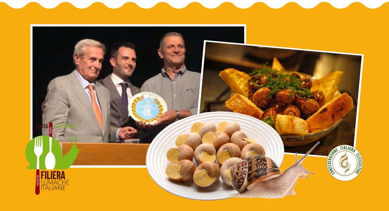 Coclè Elicicoltura: le lumache da gastronomia fresche e spurgate che hanno conquistato l’online