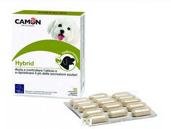 Dove acquistare Cibi Complementi per cani online?