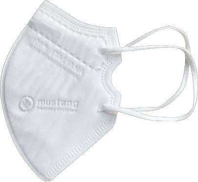 Dove acquistare Mascherine antipolvere pieghevoli online?