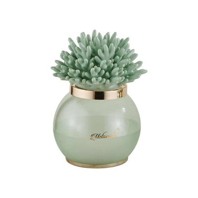 Dove acquistare i prodotti a marchio Melaverde