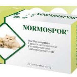 Dove acquistare Mascherine da rianimazione online?