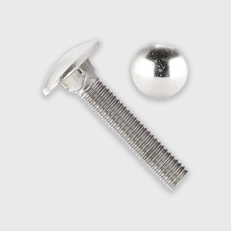 Dove acquistare Bulloni a testa tonda online?