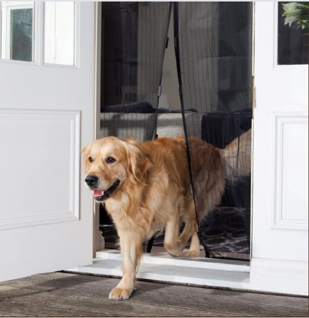 Dove acquistare Porte con zanzariera online?