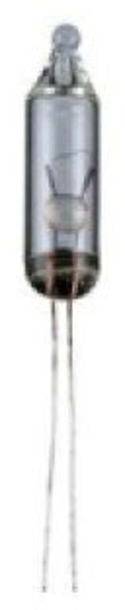 Dove acquistare Integratori di Proteine del pisello online?