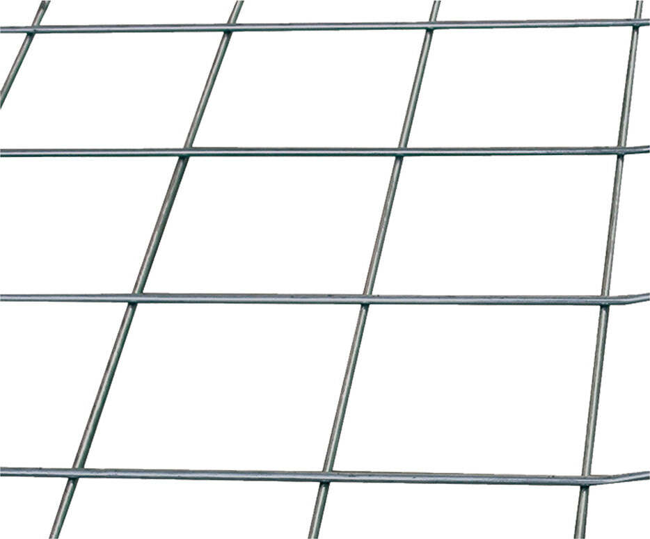 Come scegliere Scontolo.net - Potenza