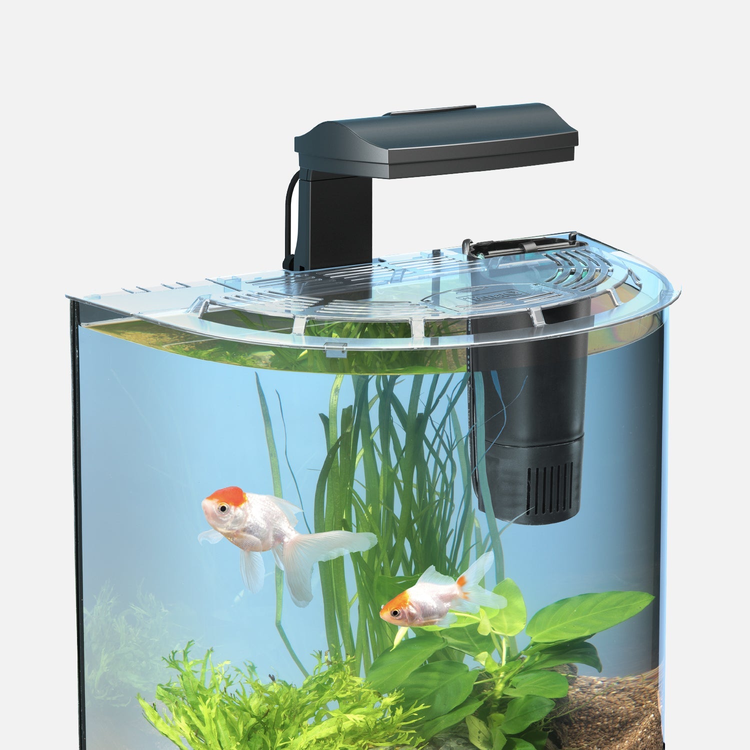 Come scegliere Illuminazione per acquario