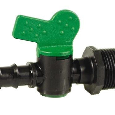 Come scegliere Maschi per fai da te