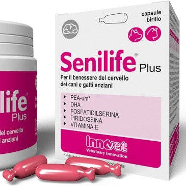 Dove acquistare Multivitaminici per Cani online?