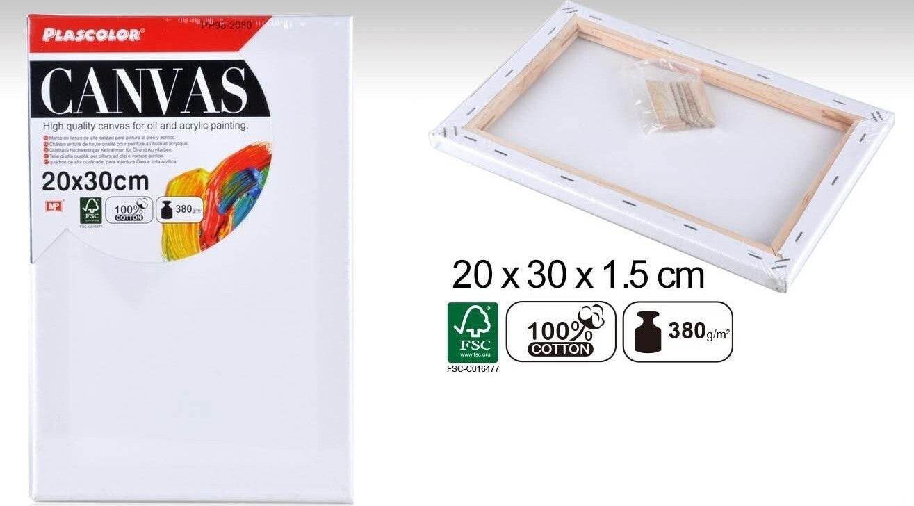 Come scegliere Tele intelaiate da Disegno