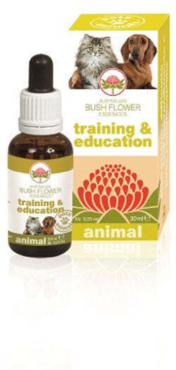 Dove acquistare Libri su Corsi di lingue straniere e supporti didattici online?