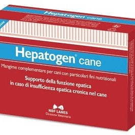 Dove acquistare Manichini per rianimazione online?